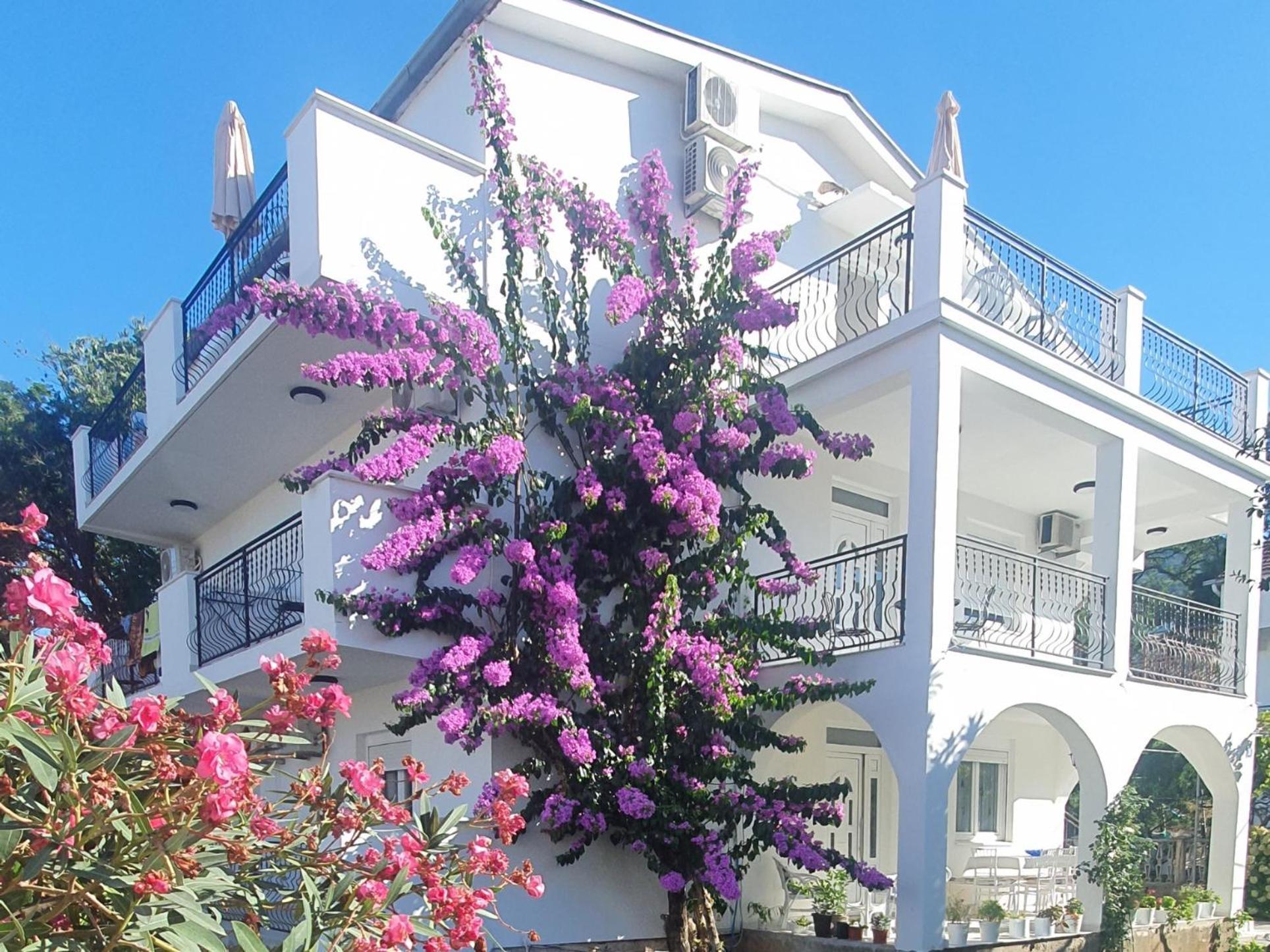 Apartments Prova **** Tivat Exterior photo